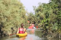 Private Kayak Tour in the Venetian Lagoon