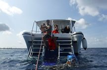 Double Dip Snorkel Trip