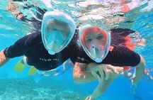 Double Dip Snorkel Trip