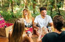 Xcaret 4-Cenotes-Guided Tour- Snacks, Lunch and Drinks included 