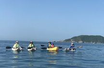 Las Gatas Kayaking and Snorkeling Tour