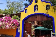 Half-Day Tour to Tequila Factory and Villages from Mazatlan