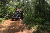 Eco Jungle Safari Tour around Koh Samui Including Lunch