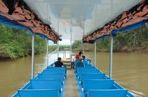 Jungle Crocodile Safari and Bird Watching tour/Tarcoles River CR