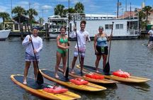 Dolphin and Manatee Paddleboard Tour