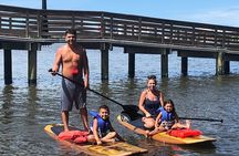 Dolphin and Manatee Paddleboard Tour