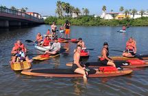 Dolphin and Manatee Paddleboard Tour