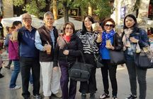 Essential Xi'an Private Day Tour Including Lunch