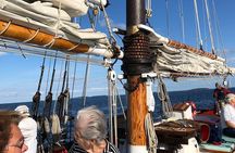 Windjammer Classic Day Sail from Camden, Maine
