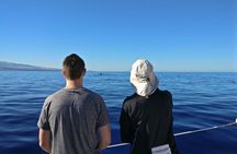 Wake Up With the Whales Cruise from Anaeho'omalu Bay