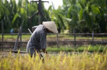 Tributaries and Rice: My Tho meets the Mekong