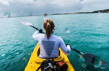 Full Day Kayaking Tour in Coorong National Park
