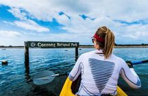 Full Day Kayaking Tour in Coorong National Park