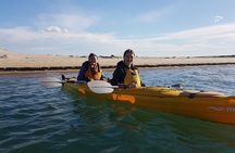 Full Day Kayaking Tour in Coorong National Park