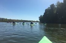 Napa Valley - River History Kayak Tour