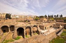 Pompeii: Guided Small Group Tour Max 6 People with Private Option