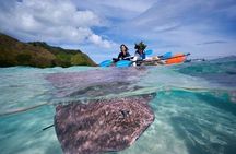 Eco guided excursion to the lagoon of Moorea in a transparent kayak Afternoon 2h