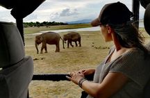 Private Half Day Safari in Udawalawe National Park