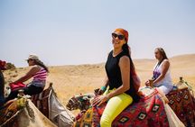 Private Full Day Tour Giza Pyramids Sphinx Saqqara and Memphis including Lunch
