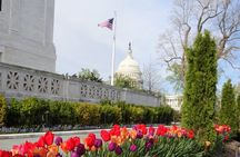 Private Multilingual DC City Tour (Spanish, Portuguese, English)