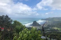 Piha Waitakere Rainforest Wine Tour from Auckland