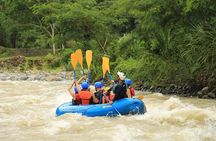 Whitewater Rafting Savegre Class II-III plus Waterfall Manuel Antonio 