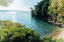 Snorkel Tour in Paraggi Bay