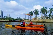 Cartagena In Kayak