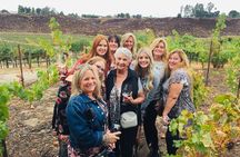 Temecula Wine Tasting PRIVATE Tour