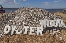 Oyster Farm Private Tour with Oysters and Wine Tasting