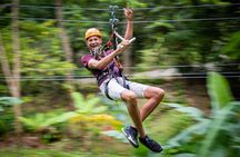 Adrena-Line Zipline Canopy Tour at Rainforest Adventures St. Lucia