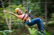 St Lucia Ultimate 3: Aerial Tram, Zipline and Hiking at Rainforest Adventures