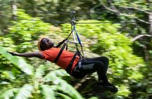 Adrena-Line Zipline Canopy Tour at Rainforest Adventures St. Lucia