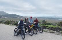 Guided E-Bike Tour of Morro Bay