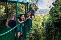 St Lucia Ultimate 3: Aerial Tram, Zipline and Hiking at Rainforest Adventures
