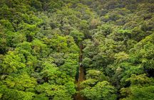 St Lucia Ultimate 3: Aerial Tram, Zipline and Hiking at Rainforest Adventures