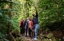 St Lucia Ultimate 3: Aerial Tram, Zipline and Hiking at Rainforest Adventures