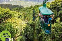 St Lucia Ultimate 3: Aerial Tram, Zipline and Hiking at Rainforest Adventures