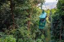 St. Lucia Aerial Tram Tour at Rainforest Adventures