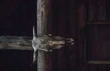 Escape Game: Odin's Hidden Temple