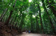 Nature Tour to Udawatte Kele Sanctuary, Kandy from Bentota