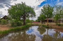 2 Day 4 Star Pilanesberg Safari