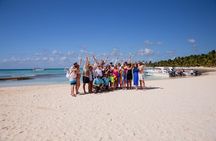 Saona Private Full-Day Tour from Punta Cana 