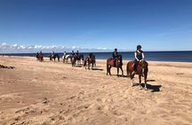 Private Horse Riding on the Beach in Riga