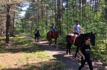 Private Horse Riding on the Beach in Riga