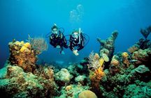 Aruba One or Two Tank Scuba Dive