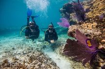 Aruba One or Two Tank Scuba Dive