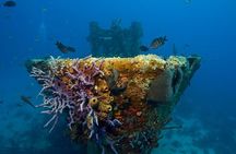 Aruba One or Two Tank Scuba Dive