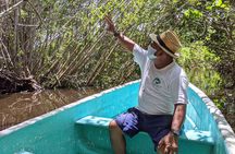 4-in-1 Tour - Mazunte,Cacao Factory, La Ventanilla & Turtle Spawn