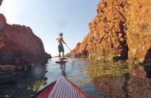 Stand-Up Paddle & Snorkeling with Local Guide near Nice